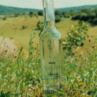 Dargovská Vinovica – Destilát 45%